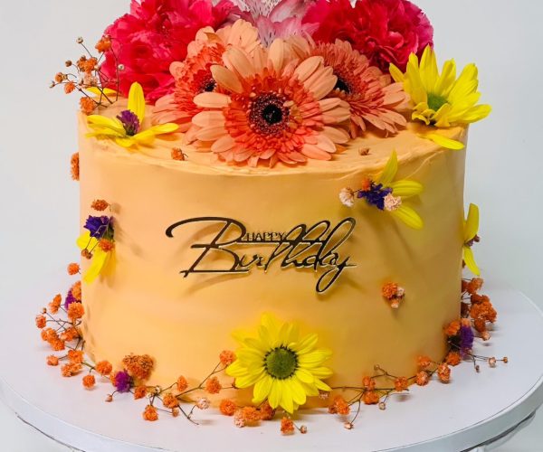 516610646_4279963492231759_6258661959488193519_n